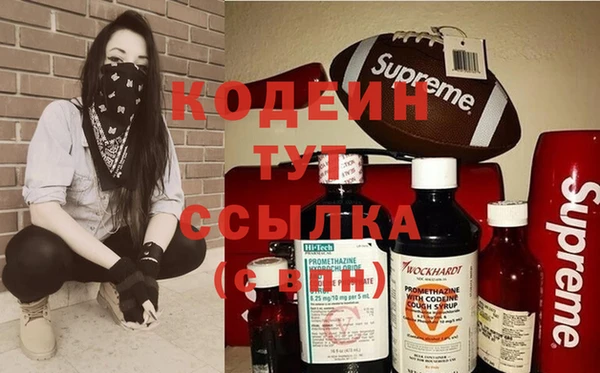 ПСИЛОЦИБИНОВЫЕ ГРИБЫ Новозыбков