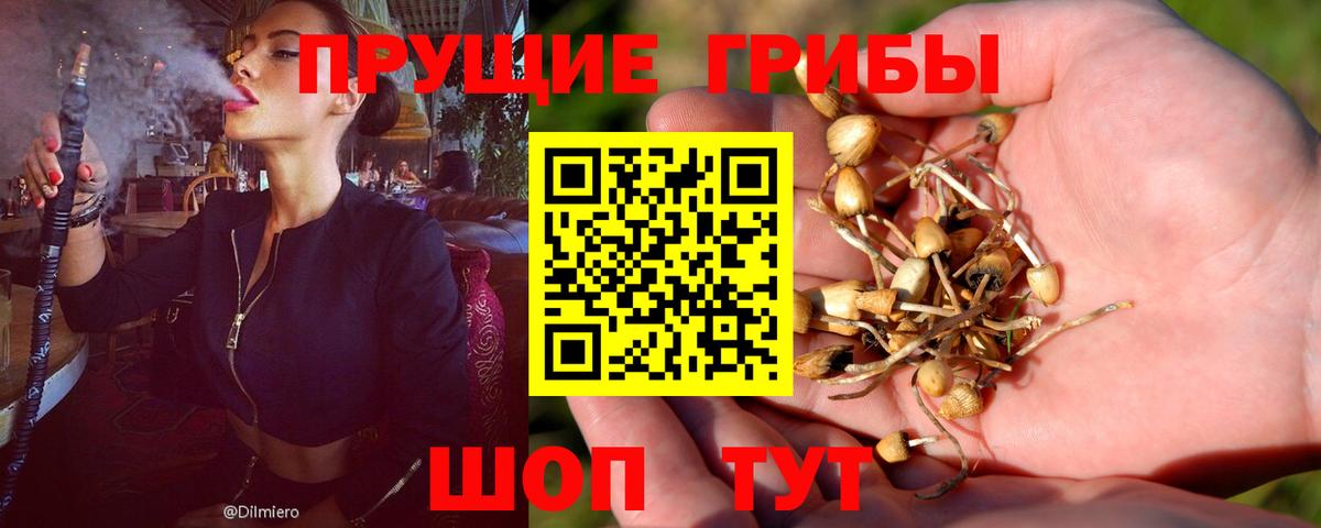 Псилоцибиновые грибы ЛСД Ленинск-Кузнецкий