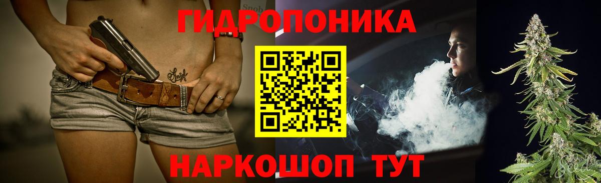 Каннабис OG Kush Ленинск-Кузнецкий